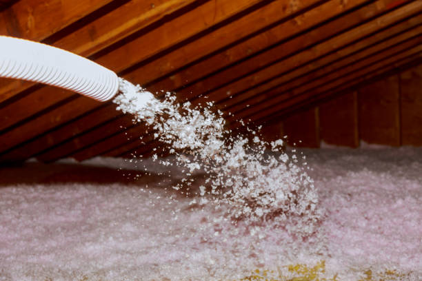 Best Insulation Maintenance and Repair in Lake Wazeecha, WI